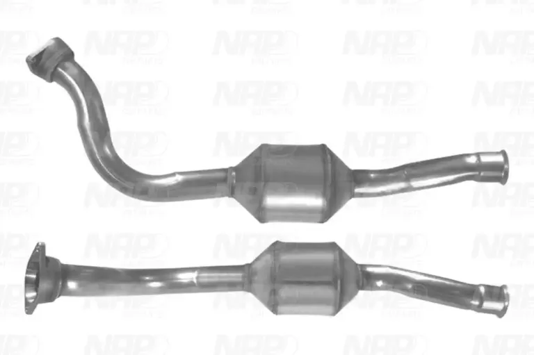 NAP carPARTS Katalysator (CAD10573)