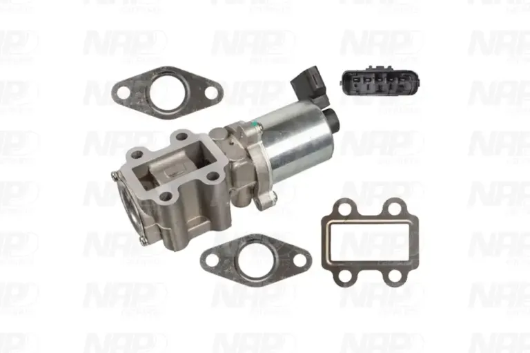 NAP carPARTS AGR-Ventil (CAV10156)